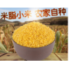 低价批发陕北米脂黄小米 月子杂粮油小米 五谷杂粮散装农家米