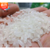 批发直销五常稻花香大米 长米粒口感香醇 稻花香苏北大米25kg