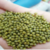 大量批发散装绿豆内蒙古赤峰五谷杂粮绿豆25kg每袋