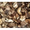 批发碎片菇 筛选干香菇碎片 打粉包包子用菇末 手选剪脚碎片500g