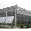 玻璃大棚 現代化溫室大棚 大棚骨架廠 溫室大棚建設建造
