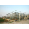 现代化温室大棚 新款玻璃温室 自动化农业大棚