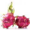越南进口白心火龙果5斤 10斤净果新鲜当季热带水果 一件代发包邮