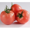 山东大番茄沙瓤西红柿新鲜蔬菜现摘现发10装斤包邮