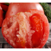 沙瓤西红柿农家自种大番茄时令蔬菜产地直销现摘现发5斤包邮售后