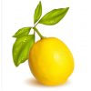 柠檬之都安岳黄柠檬原产地直发一二三级鲜黄柠檬100-150克5斤起批