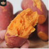 赣南红薯红蜜薯5斤 现挖新鲜非六鳌红心地瓜番薯批发代发分销微商