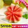 广西番石榴5斤红心芭乐新鲜应季热带水果农家特产支持一件代发
