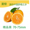 夏橙正宗秭归脐橙橙子10斤大果现摘新鲜水果包邮一件代发批发