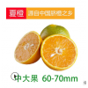 夏橙正宗秭归脐橙带箱10斤中大果新鲜水果榨汁手剥橙子代发批发