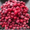 速冻冷冻蔓越莓 优质进口蔓越莓 水果北美智利蔓越橘 鹤莓
