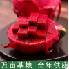 红心火龙果5斤 金都一号广西海南特产新鲜水果一件代发批发
