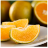 秭归夏橙新鲜橙子产地直发时令水果5斤包邮包售后