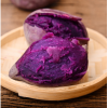 越南珍珠紫薯 中小紫薯5斤包邮 一件代发