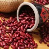 优质英国红芸豆自种 红腰豆五谷杂粮红芸豆袋装25公斤