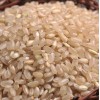 厂家批发 糙米 新糙米 玄米 胚芽米 发芽糙米 五谷杂粮一站式批发
