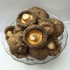 批發2.5-4.0cm無根香菇500g 特色農產品 食用菌南北干貨 冬菇直銷