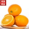 丰吉农业一件代发赣南脐橙橙子新鲜水果现摘现发10斤装包邮
