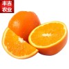 一件代发江西赣南脐橙寻乌橙子新鲜时令水果 10斤包邮