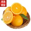 一件代发赣南脐橙寻乌脐橙新鲜水果橙子时令水果5斤装包邮