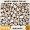 青海蠶豆 500規格蠶豆貨源充足量大從優 蠶豆廠家直銷