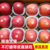 洛川苹果 臻品装 精品果 绿色 新鲜 优质 无公害 90规格 12枚装