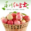 洛川蘋果 臻品裝 精品果 綠色 新鮮 優質 無公害 85規格 16枚裝
