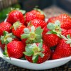 丹东新鲜草莓 99新鲜水果 九九红颜 国产草莓 有机草莓 田野草莓3斤T级省内包邮