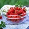 丹东新鲜草莓 99新鲜水果 田野草莓 九九红颜有机草莓 国产草莓 3斤T级省内包邮