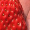恒信新鲜草莓 有机九九草莓 红颜草莓 国产草莓 产地直发 6斤 省内包邮