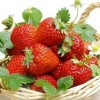 新鲜新鲜荣升草莓 国产草莓 红颜九九草莓 甜美多汁 草莓批发 6斤装