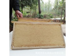 蜂巢蜜 野生散装蜂巢蜂蜜5斤-6斤 蜂巢蜜可切割装瓶