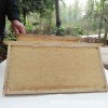 蜂巢蜜 野生散装蜂巢蜂蜜5斤-6斤 蜂巢蜜可切割装瓶