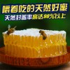蜂巢蜜深山嚼着吃蜂巢蜂蜜新品蜂窝蜂场蜂蜜新巢蜜批发包邮