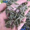 2018年头春福鼎的白茶米芽 头采白毫银针散茶 白茶厂家批发