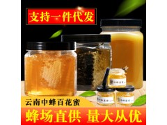 批發代發云南特產農家野生蜂蜜蜂巢蜜土蜂蜜巢蜂巢蜜瓶裝盒裝蜂蜜