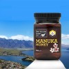 产地货源厂家直销新西兰蜂蜜公司麦卢卡5+进口原瓶500g批发代发