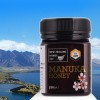 产地货源厂家直销新西兰蜂蜜公司麦卢卡UMF5+进口原瓶装250g批发