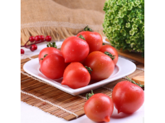 龍海珠圣女果小西紅柿番茄箱裝 果蔬基地直銷批發