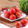龙海珠圣女果小西红柿番茄箱装 果蔬基地直销批发