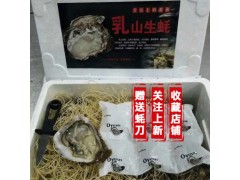 【100斤】蠔公子批發水產乳山鮮活生蠔 威海海鮮水產 海蠣子 牡蠣