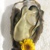 新鲜乳山牡蛎鲜活海产品 带壳牡蛎 金品牡蛎 3.5+ 10斤装 一件代发