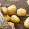 供应 马铃薯非小土豆天然农家农产品新鲜蔬菜洋芋黄心