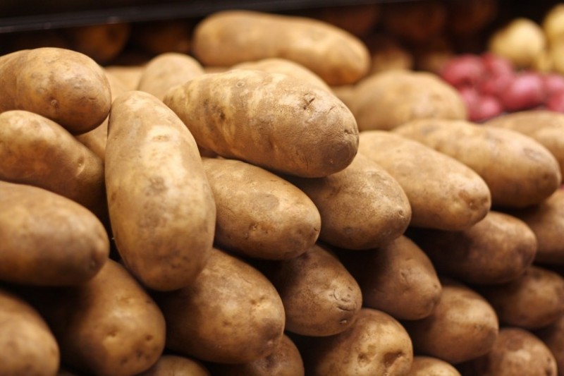 汶上县瑞盛种植农民专业合作社专业种植马铃薯