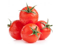大量供应新鲜西红柿 天然蔬菜 甜嫩蕃茄 批发价格优惠