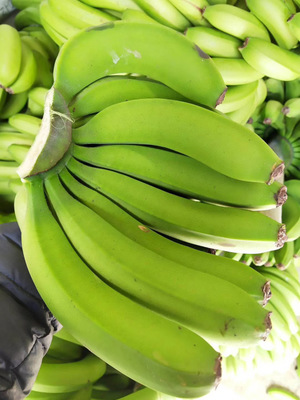 【正常出货】广西香甜香蕉大香蕉新鲜青香蕉当季水果现摘现发包邮