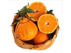 【X9】丑橘不知火4.5斤/2.5斤/1斤 新鲜丑八怪橘子当季水果