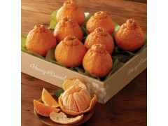 【伙】丑橘不知火4.5斤/2.5斤/1斤 新鲜丑八怪橘水果