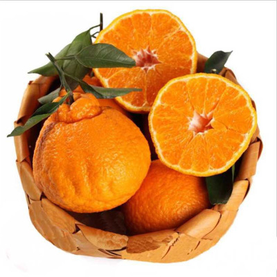 【品10】丑橘不知火4.5斤/2.5斤/1斤 新鲜丑八怪橘子当季水果