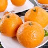 【品10】四川青見柑橘1斤 新鮮水果應季手剝桔子